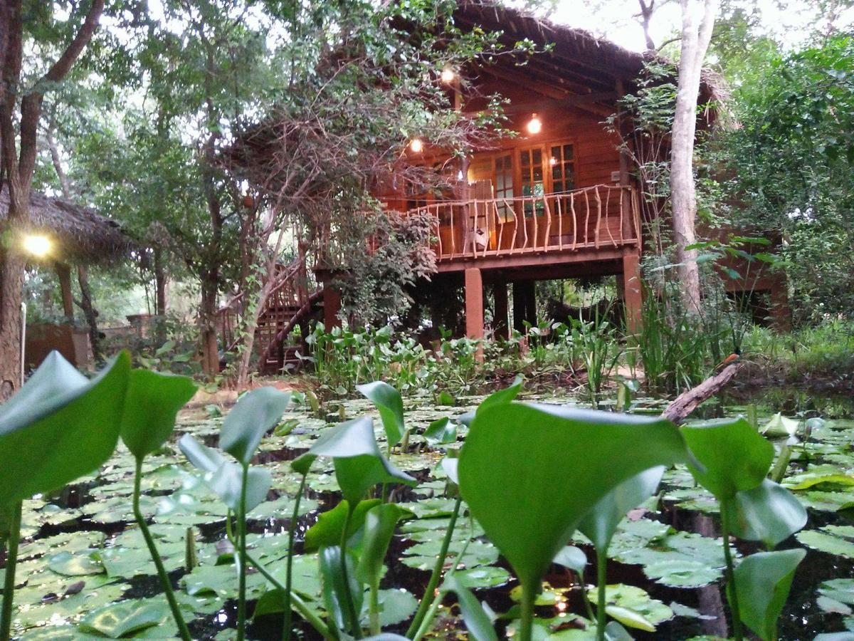 Habarana Tree House Mutu Village Екстериор снимка